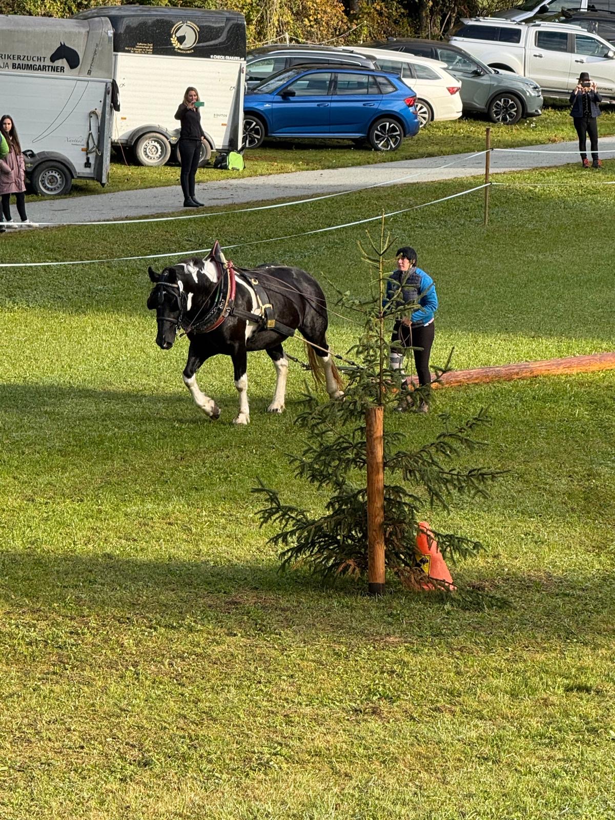 Leistungsprüfung 2026 Leistungsprüfung 2026